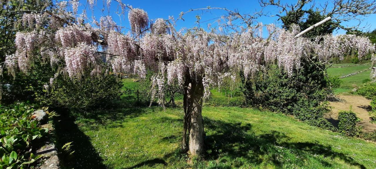 Отель Rectoral De Anllo Собер Экстерьер фото